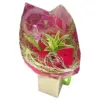 Bouquet de Rosas 201