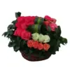 Canasta Floral 101