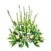 Ramo Floral Especial 128