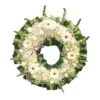 Corona Fúnebre Especial 501